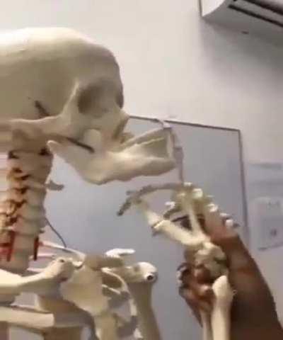 My necromancy roommate gave his subject intelligence, any advice?