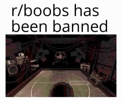 Losercity subreddit purge