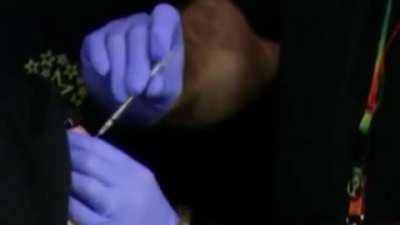 tfw the first jabs rolled out