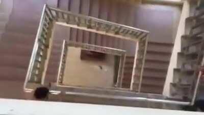 这算是自杀还是被自杀？