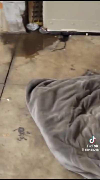 Welcome to New York.