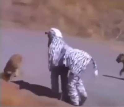 When you google “worst idea ever”