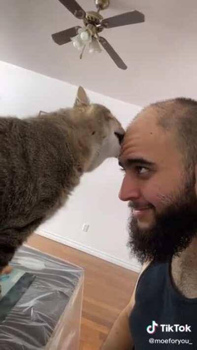 The betrayal when the tongue turns to teeth