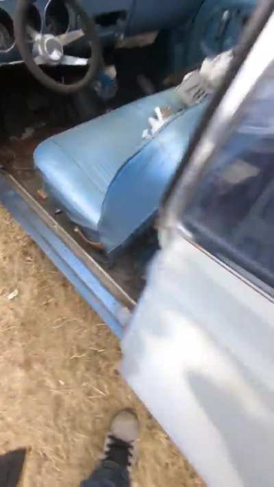 My 1965 Chevy Corvair