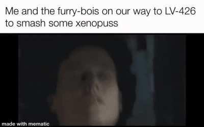 We gonna have some fun