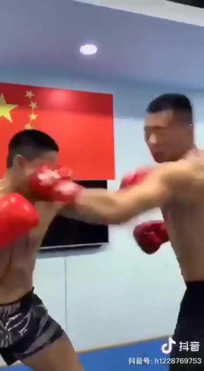 Звуки, будто кошка с собакой пиздятся