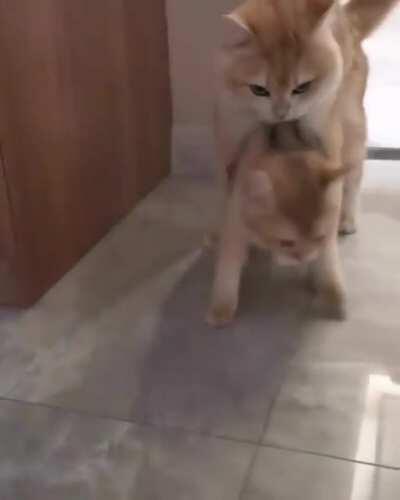 Don’t ever talk to me or my son ever again