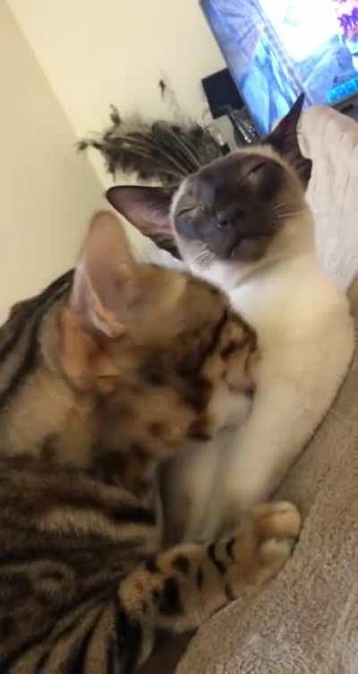 His face says it all