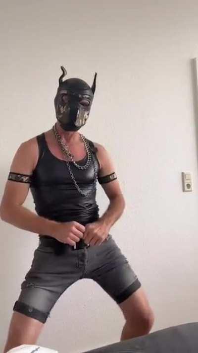 Help guys I think my 🐶 is sick