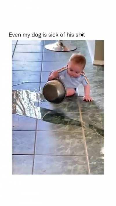 Dog: use rubber next time Paul.