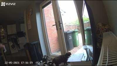 Got a new bird feeder in the garden, not sure my 17 year old approves