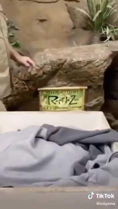 Bringing back some nice eggs (repost cuz rule 2 reasons)