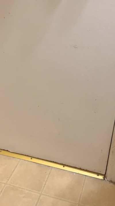 The super incredibly fun game we play every morning whilst I try to sh!t in peace