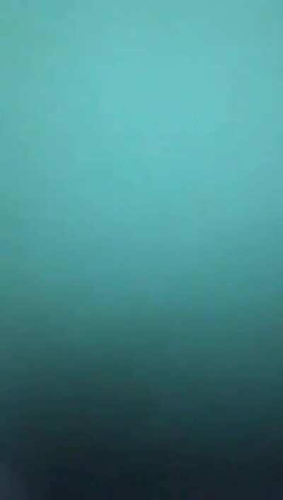 NSFW Pantheon support getting what he deserves when us girlies snap and swap off enchantresses