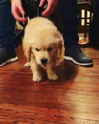 It just won't STAY UP!