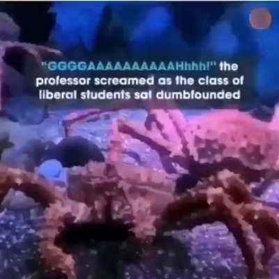 l*bs owned epic lee!! 😎 😎