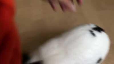 Morning exercise 🌞🌞🌞