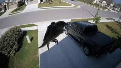 Framerate synced with wings