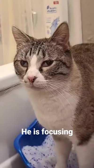 PLEASE DO NOT THE POOPY WUNK