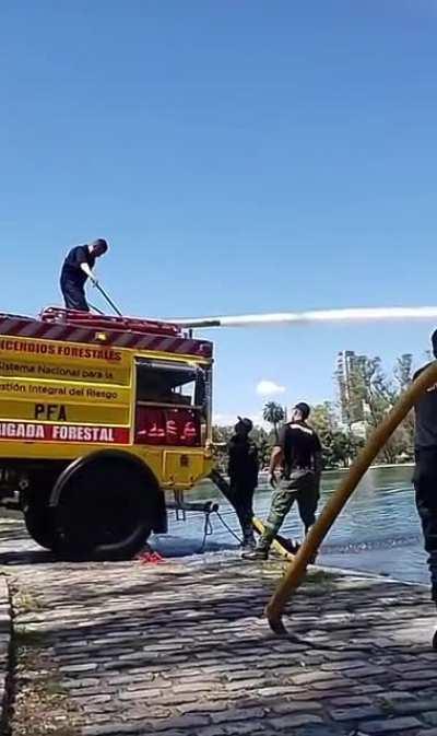 Refrescando a los peces