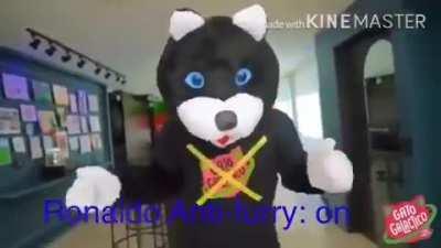 Anti-furry mode: active