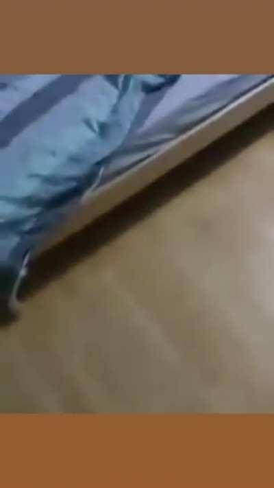 Better safe than sorry