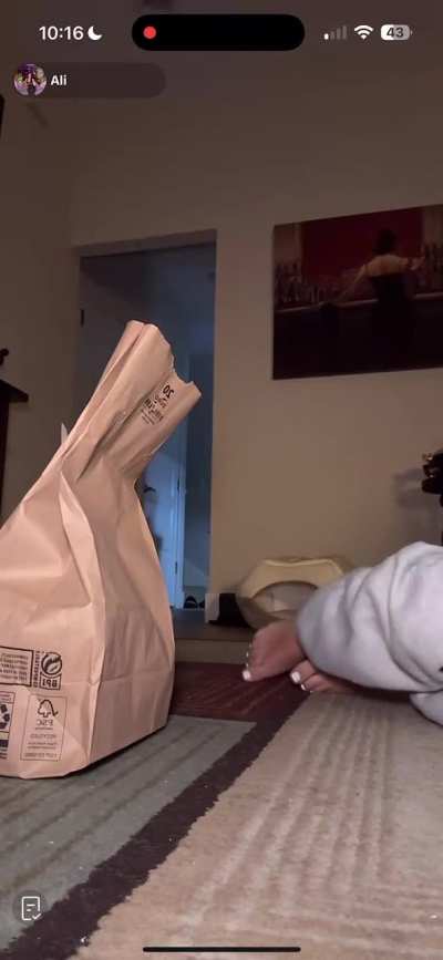 Ali’s pretty white toes