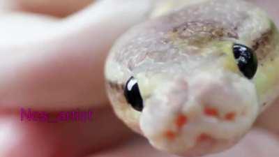 You know what time it is!