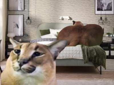 Ayo did i hear something?