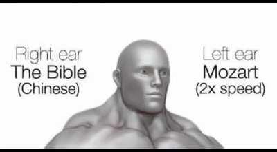 Stfu I'm Brainmaxxing