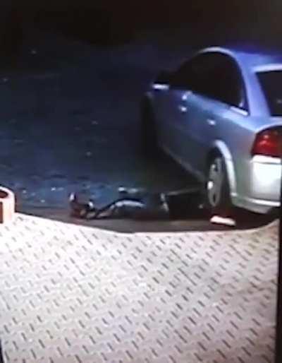 Guy volunteers to be a speed bump