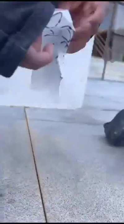 Os mods com o calango