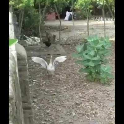 Yo igual 😨💀🔪