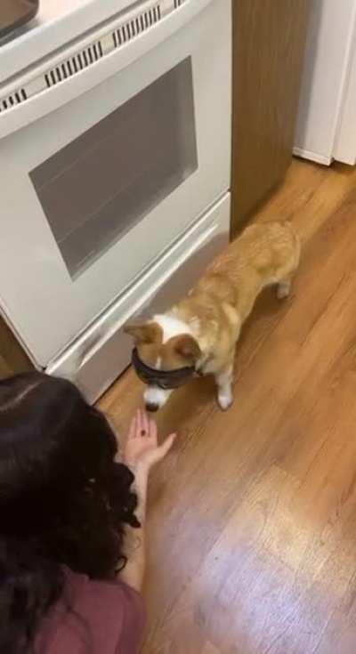 Getting my boy use to wearing goggles for motorcycle rides