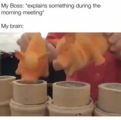 Oink Oink (found on SipsTea)