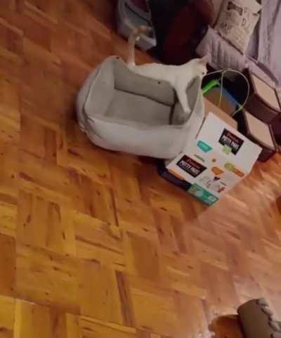 One day he’ll get it