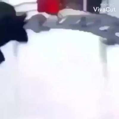 Still Don't Have a Title