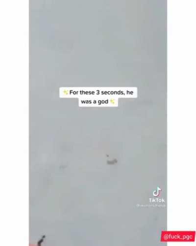 If only ants could talk