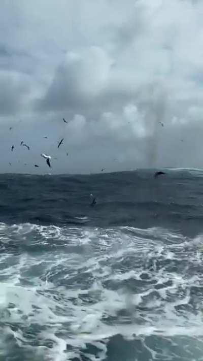 My bedroom window view for 51 days