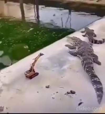 NEW innovations in the field of safely petting the evil long water wunks!!!