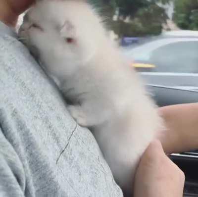 He's trying to interfere with driving the car again