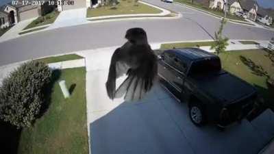 Wing motor fail, very obvious break in the illusion