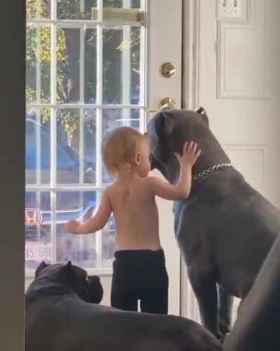 С друзьями...