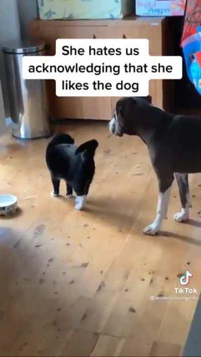 When your friend catches you with your ex