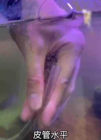 G-Man getting his haircut at the local interdimensional barber