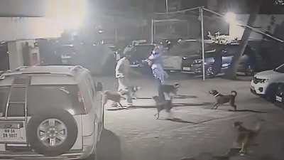 Guy hitting a watchman who is defending himself