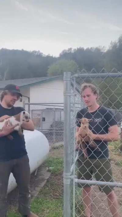 Guys and their goats 