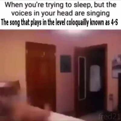 the voices are of a bandicoot