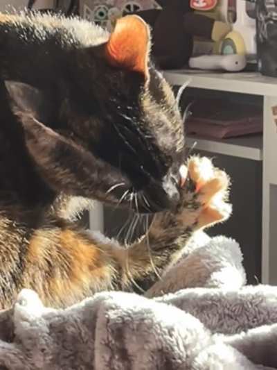toesies!!