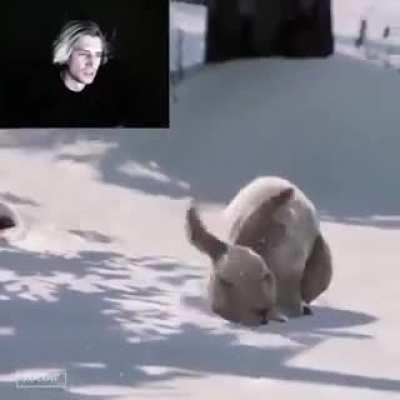 the diffrence betwin mans and womans..